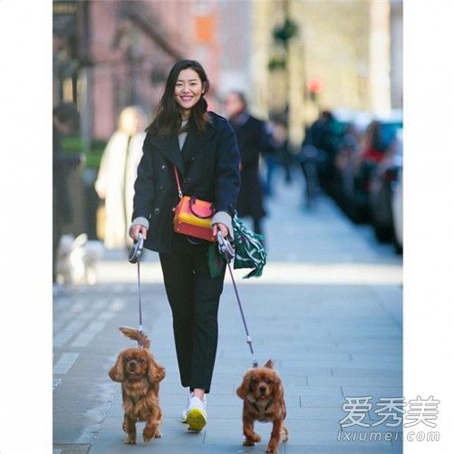 ��������������Ƭ��ȫ ������������2017ͼƬ