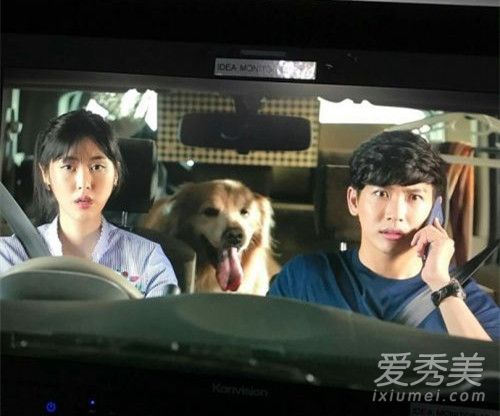 ̩�绨��ָ2017��1������ ̩�绨��ָ2017��Ա��������