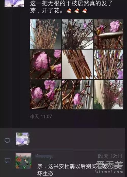 �ž黨ˢ������Ȧ��ô���� �ž黨Ϊʲô������������