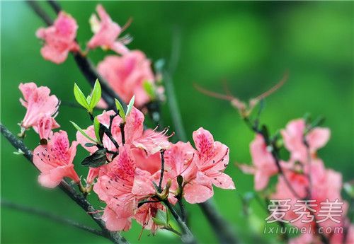 �ž黨ˢ������Ȧ��ô���� �ž黨Ϊʲô������������