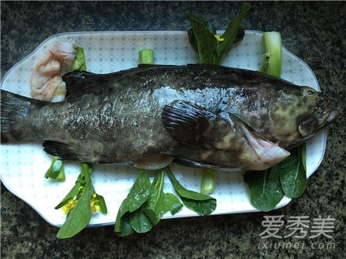 石斑鱼是海水鱼还是淡水鱼 石斑鱼是发物吗