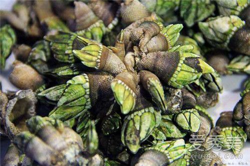 �ٺ���ʲô �ٺ���ô��