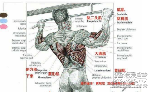 ����������ʲô����ͼ�� ���챳���ر�����û��֮һ