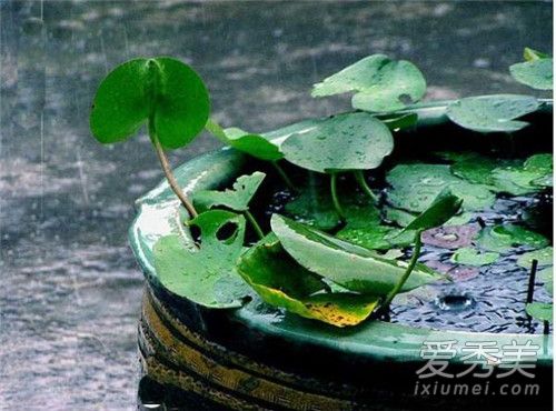 2018梅雨季节是什么时候 2018年什么时候入梅