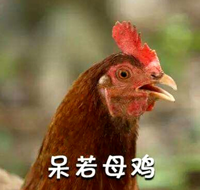 �����缦ʲô��˼ �����缦ʲô��