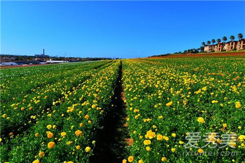 �����ڿ���ȥ������ 2018�����ڿ���ȥ�Ķ�����