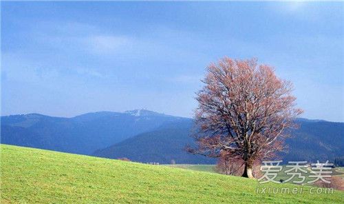 �����ڿ���ȥ������ 2018�����ڿ���ȥ�Ķ�����