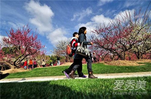 �����ڿ���ȥ������ 2018�����ڿ���ȥ�Ķ�����