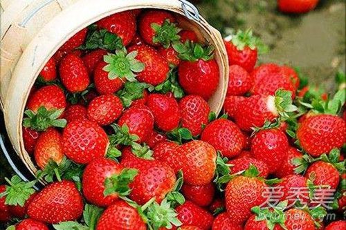 草莓是什么季节的水果 草莓成熟期什么时候