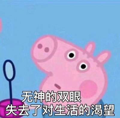 ʲô˼ ˱ȫ