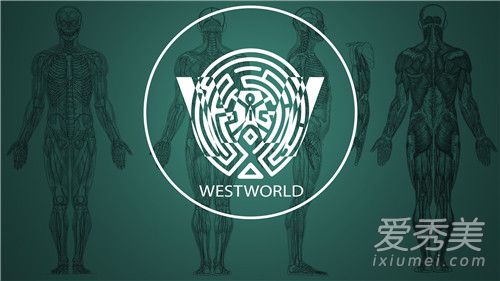 ����������С˵�� ��������ԭ����ʲô����