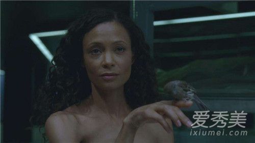 ����������С˵�� ��������ԭ����ʲô����