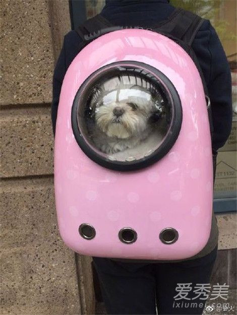 �����ͽ��ն��Ǽٵģ������������˺Ž�ʲô