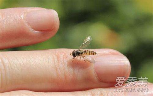 被蚂蚁咬后送进抢救室怎么回事 被蚂蚁咬后过敏怎么办