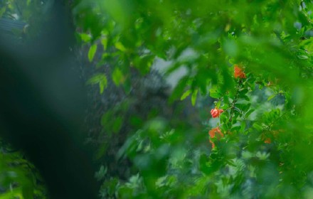 â����ʲô��˼ â�ֽ����ĺ�����ʲô