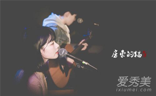 房东的猫是情侣吗 房东的猫为什么这么火