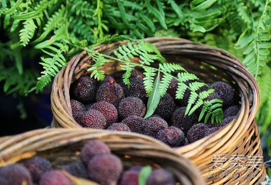 杨梅为什么有虫子 杨梅虫多久能泡出来