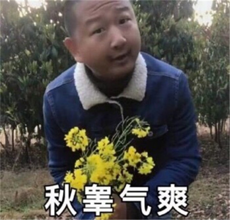 giaoˮӡ giaogif giao¼