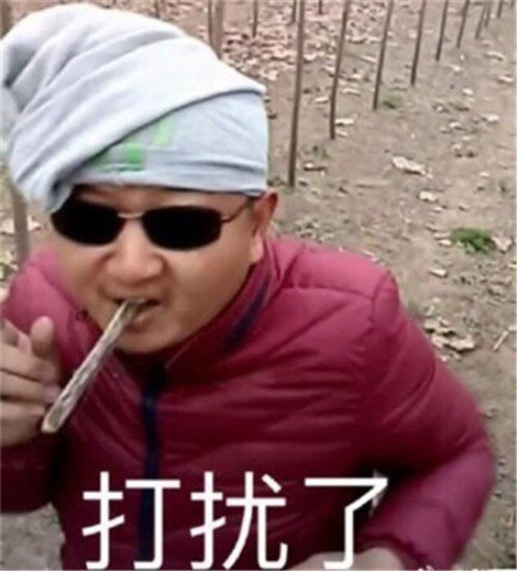 giaoˮӡ giaogif giao¼