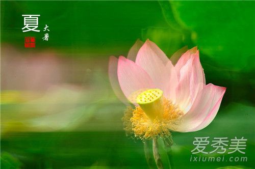 ���������ȵ�ʱ���� 2018�����Ǽ��½������ڼ�