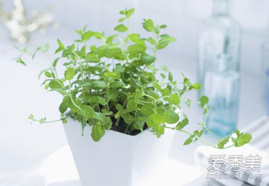 �μ�����׷����ƴ���� �μ�����׷����ƴ����