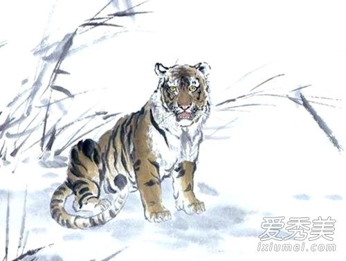 1974��������2019��ÿ������