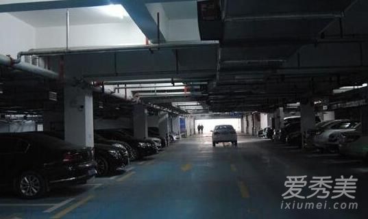 �����������������ֹ� Ƶ�����������ڵ���ͣ�����ҵ�Ůʬ