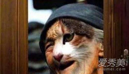 哈尔滨猫脸老太太事件是真的吗 哈尔滨猫脸老太太灵异事件真相