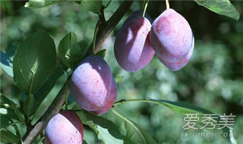 ��÷�����Ի��Ǽ��� ��÷�����Ի�������