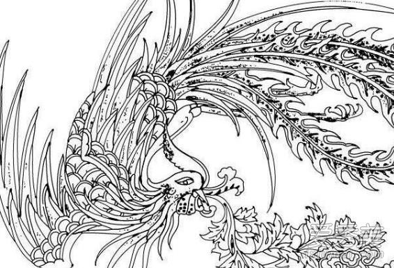 ����������з���� ��˵�����ʲô