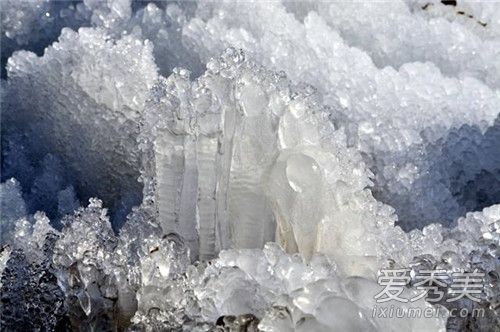 �����붬�������� �����Ͷ�������˼