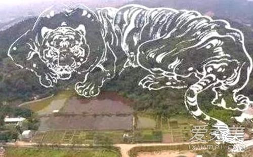 ���η�ˮ���س�ʲô�� ���η�ˮ�����ĸ���λ