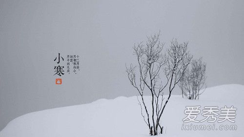 С������ʲô��˼ С���ʹ󺮵�����