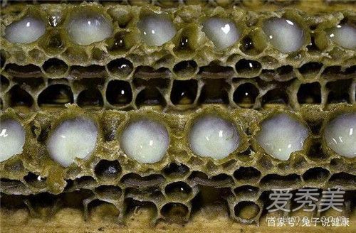 �������������빦Ч ��������ȥ������