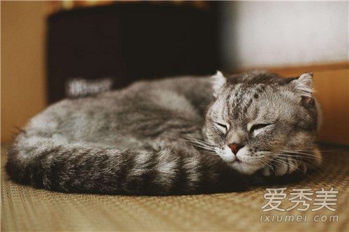 鬼压床是怎么回事 鬼压床的科学解释