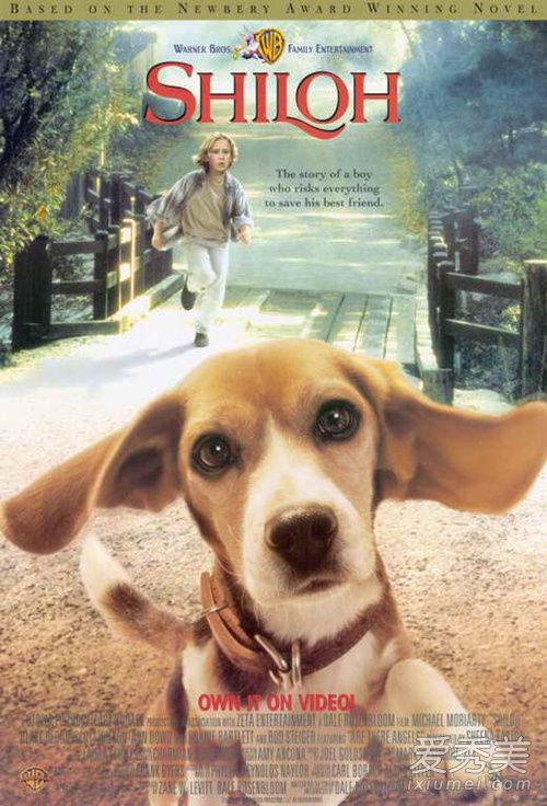 ʮ�󾭵䶯���Ӱ�������а�