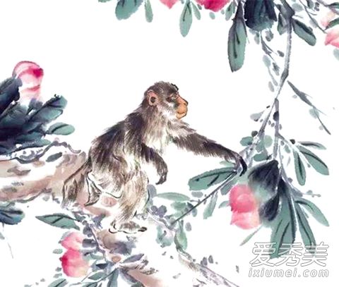 ����ĺ�ʲô��������� �����ʮ����Ф�Ĺ�ϵ