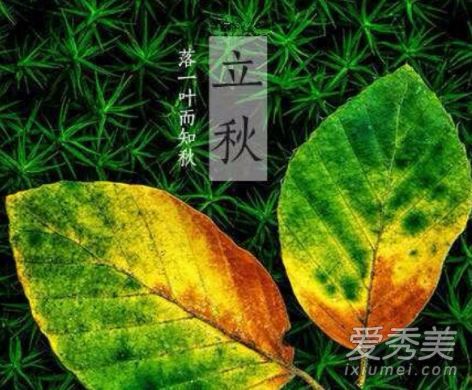 2019����󻹻����� �����������������