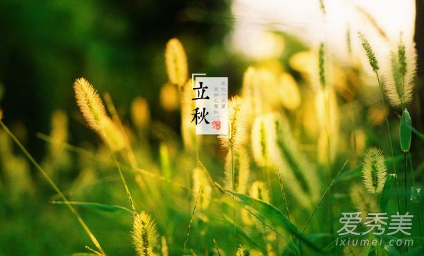 2019����󻹻����� �����������������