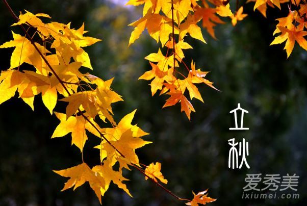 2019����󻹻����� �����������������