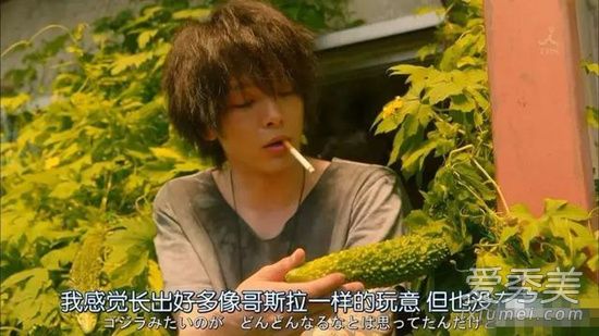 风平浪静的闲暇谁才是男主 女主最后和谁在一起了