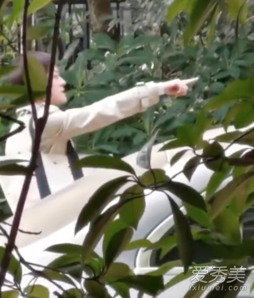 ��ٳ����ֹͣ͵�� �⵽���Ǹ�ʲô�����