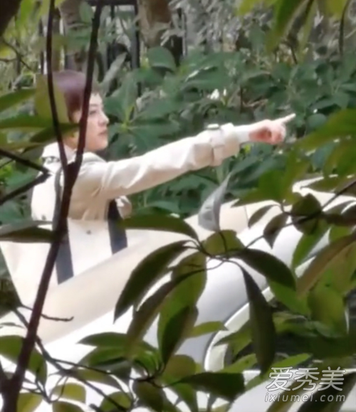 ��ٳ����ֹͣ͵�� �⵽���Ǹ�ʲô�����