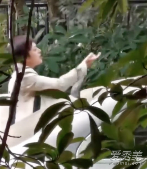 ��ٳ����ֹͣ͵�� �⵽���Ǹ�ʲô�����