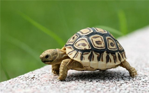 μڹʲô˼ μڹ궪ʲô˼