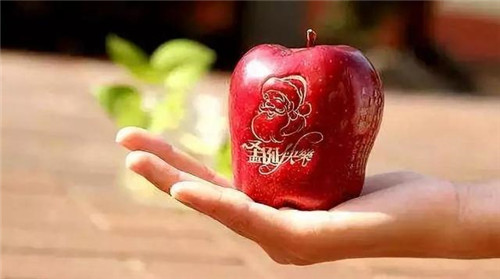 ƽ��ҹΪʲôҪ��ƻ�� ƽ��ҹ��ƻ������ʲô