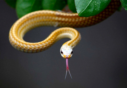 �߽������׻��Ǽ� �߽�����ʲô˵��