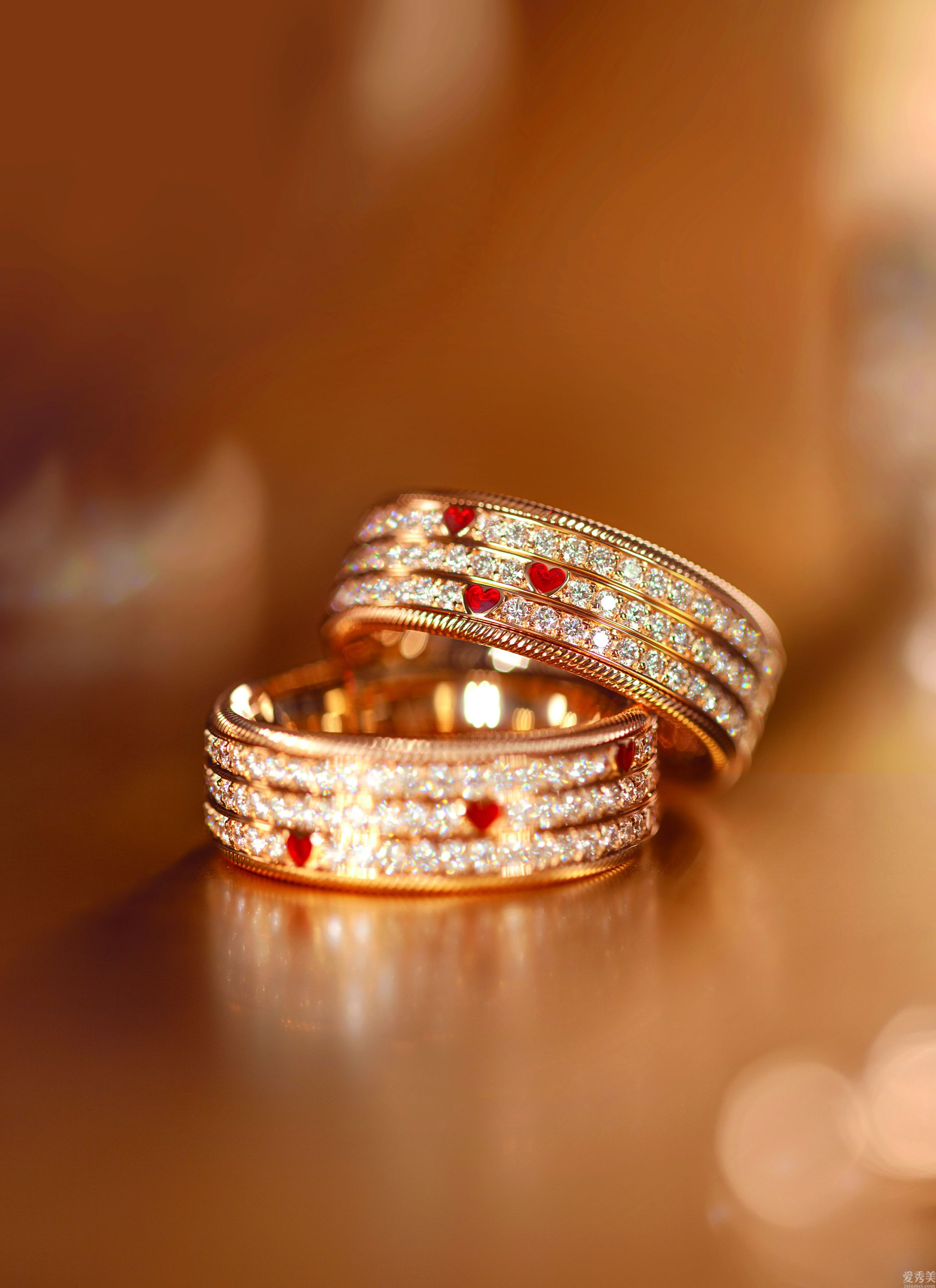 �ɰ��������������ơ���Wellendorff����ܽ