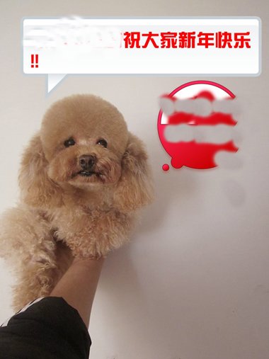 ޼̩ϹͼƬ 깷ëע