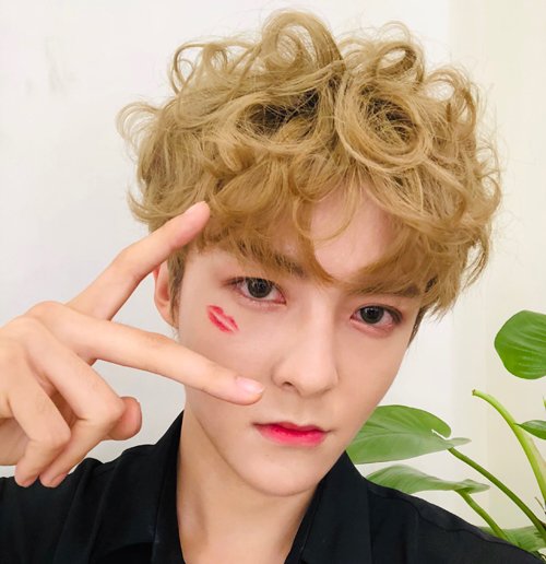 可爱型男生头发染什么颜色适合 韩国小奶狗最爱的5款染发发型